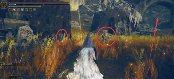 艾尔登法环幽影树碎片收集攻略(图11) 艾尔登法环幽影树碎片收集攻略(图11)