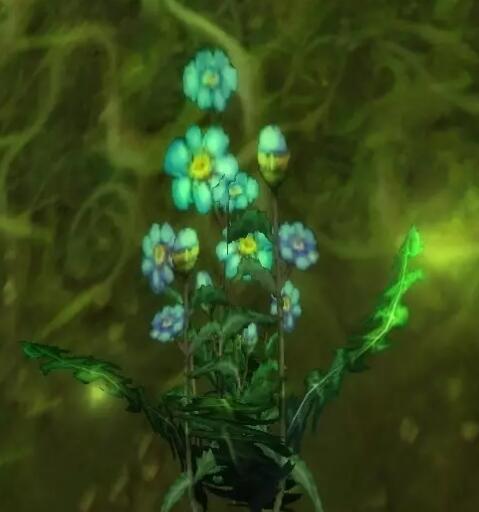 魔兽世界wlk草药1-450快速冲级攻略(图3) 魔兽世界wlk草药1-450快速冲级攻略(图3)