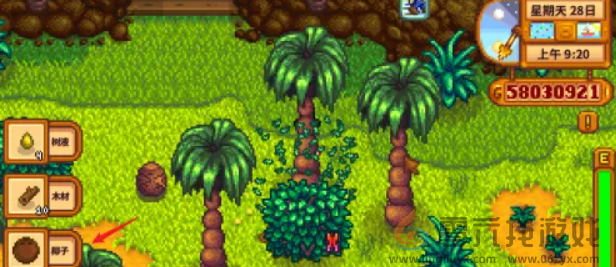 星露谷物语金椰子怎么砸开(图3) 星露谷物语金椰子怎么砸开(图3)