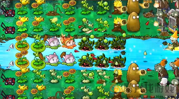 植物大战僵尸融合版冒险模式第25关攻略图文(图4) 植物大战僵尸融合版冒险模式第25关攻略图文(图4)