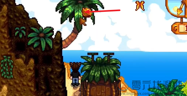 星露谷物语姜岛北部金核桃在哪(图16) 星露谷物语姜岛北部金核桃在哪(图16)