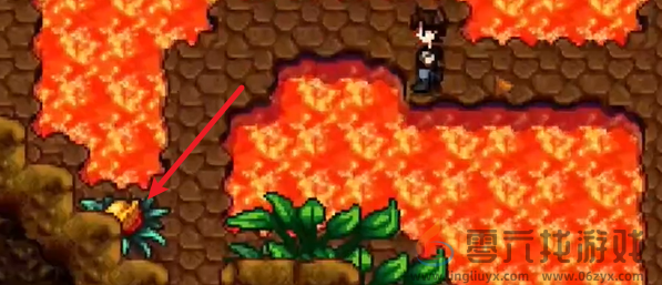 星露谷物语姜岛北部金核桃在哪(图21) 星露谷物语姜岛北部金核桃在哪(图21)