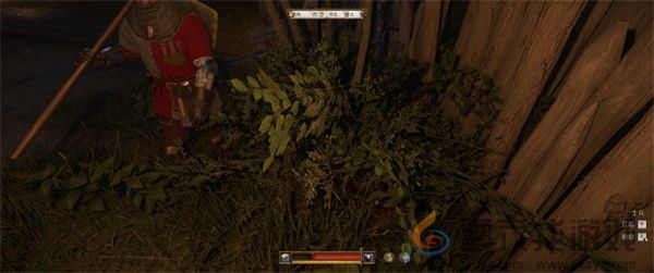 天国拯救2媒人亨利成就解锁攻略分享(图5) 天国拯救2媒人亨利成就解锁攻略分享(图5)